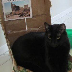 Meet your Posher, Charles francis